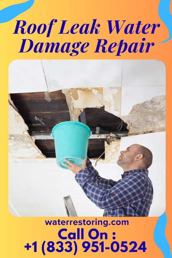 Roof Leak Water Damage Repair in Emmett, KS